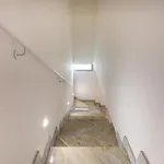 Neroamaro - Salento Selection