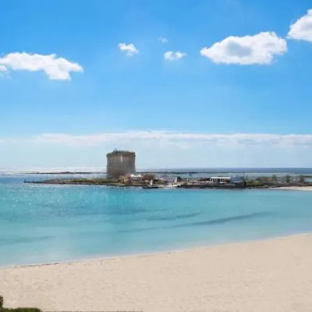 Neroamaro - Salento Selection