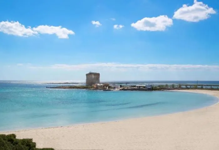 Neroamaro - Salento Selection