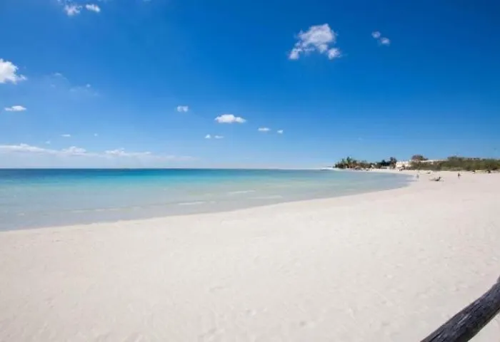 公寓 Neroamaro - Salento Selection